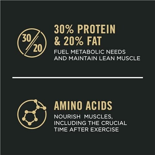 Infographic on protein, fat, and amino acids benefits